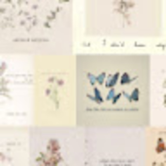 Meet your Posher, Sophie - Picture 1 of 1